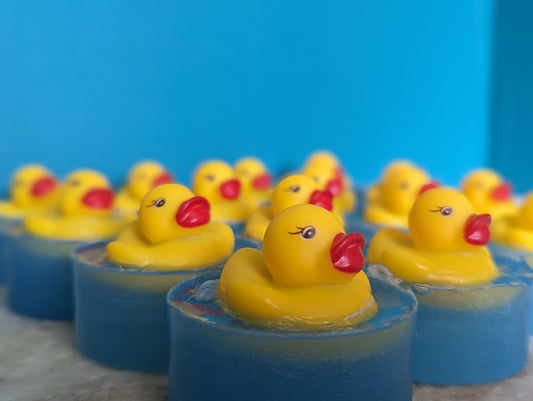 Duck soaps